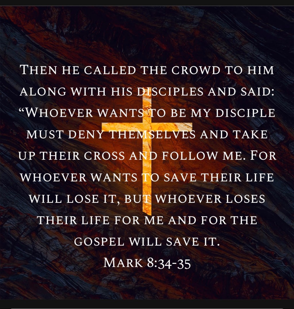 I Wanna Be A&nbsp;Loser